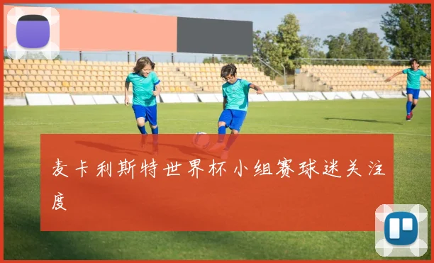 麦卡利斯特世界杯小组赛球迷关注度
