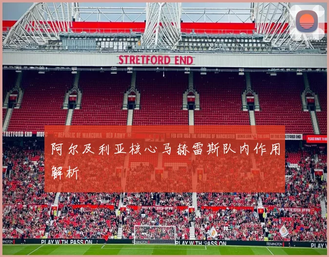 阿尔及利亚核心马赫雷斯队内作用解析