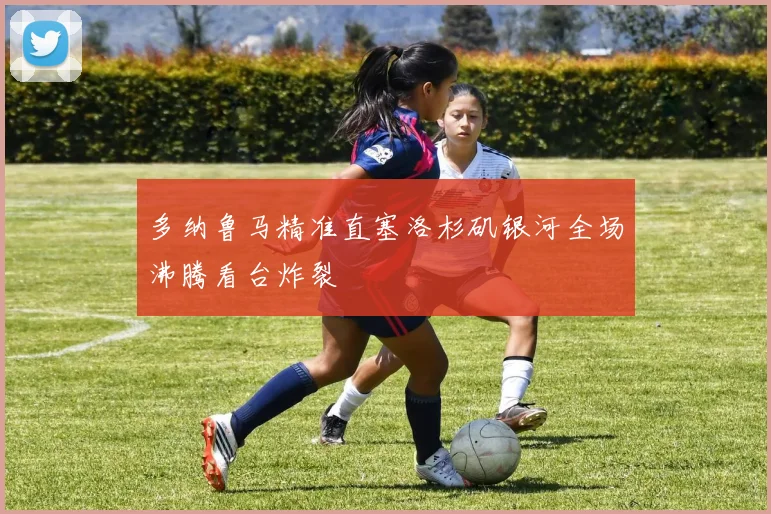 多纳鲁马精准直塞洛杉矶银河全场沸腾看台炸裂