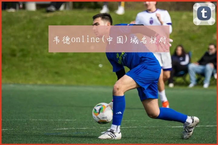韦德online(中国)域名核对